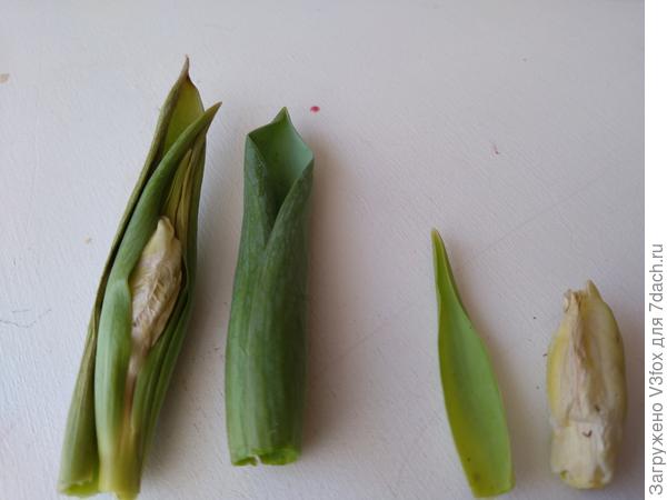 Акт 4, действие первое. А гости почти ушли...