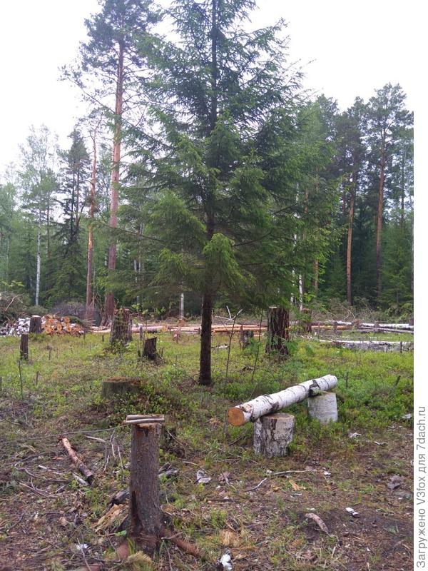 На фоточке со скамеечкой