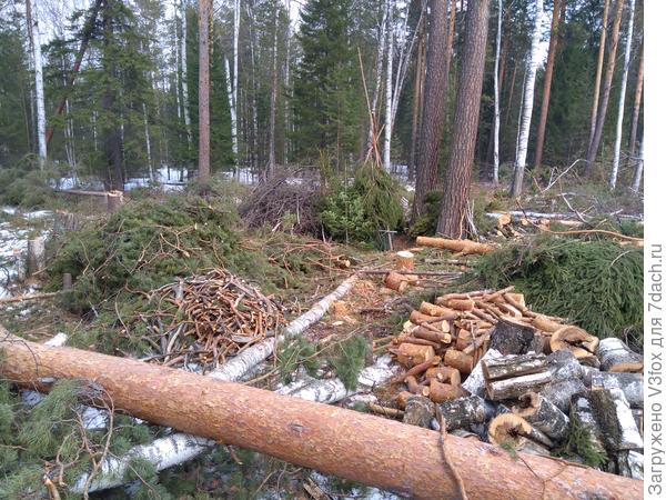 Все по полочкам в начале