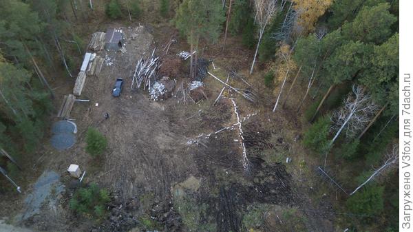 А это октябрь. Уже сегодня.