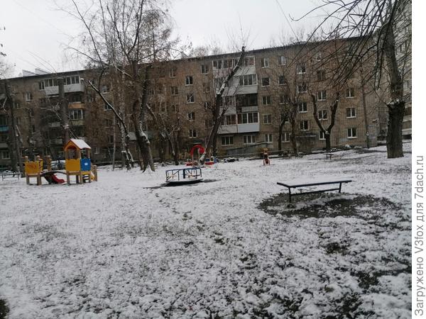 В недрах дворов