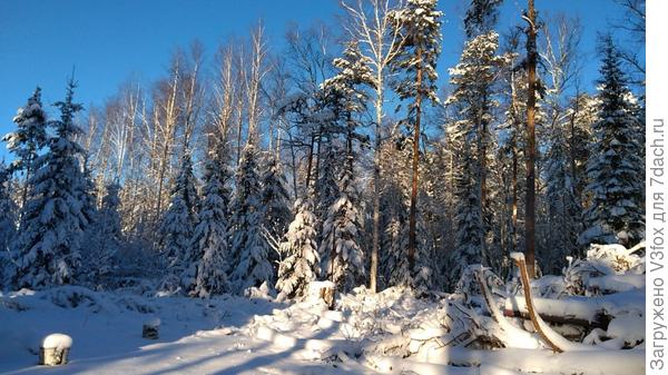 Глаз не оторвать