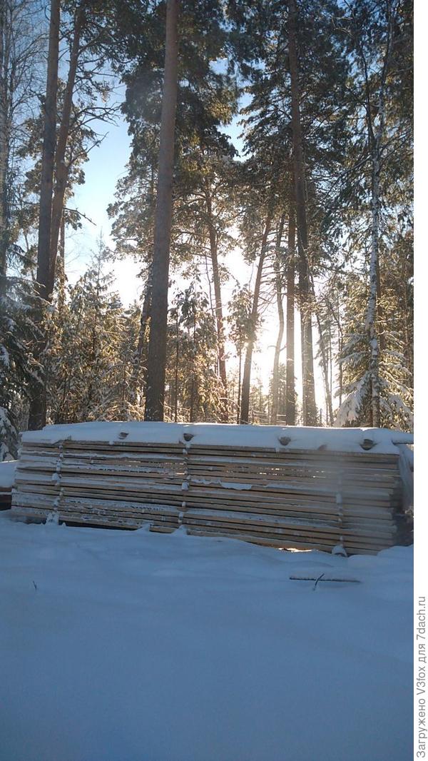 Солнце сквозь веток.