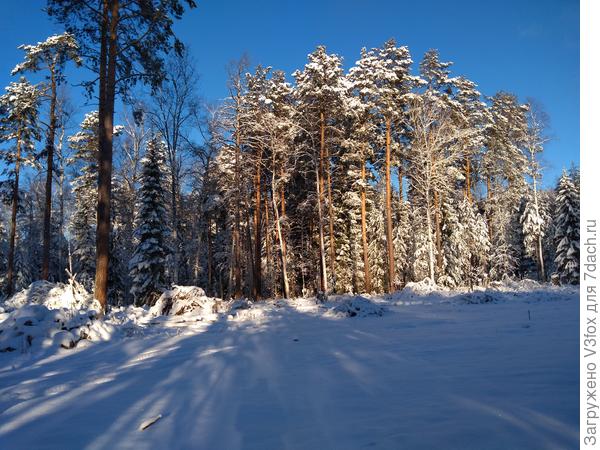 И фото в зимнем варианте