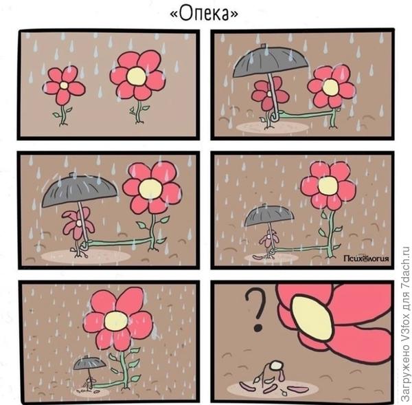 вот так я вижу вашу опеку над клубничками.