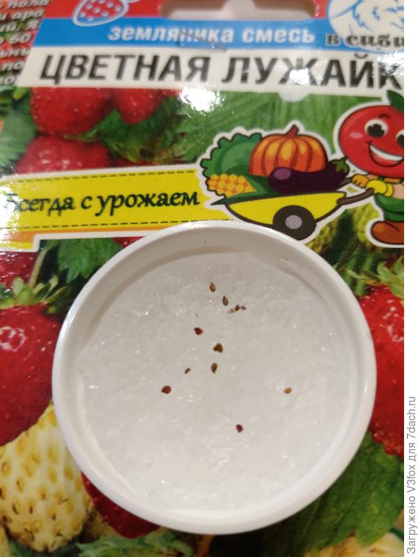 Мелкоплодная. Избавляемся от сибсада