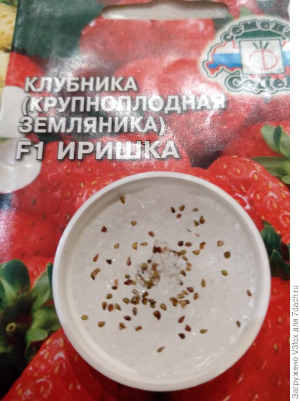 Иришка