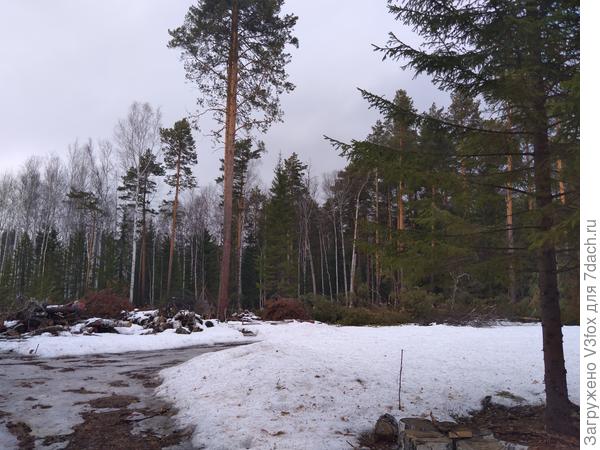 Разворот для машины и вид на кучи.