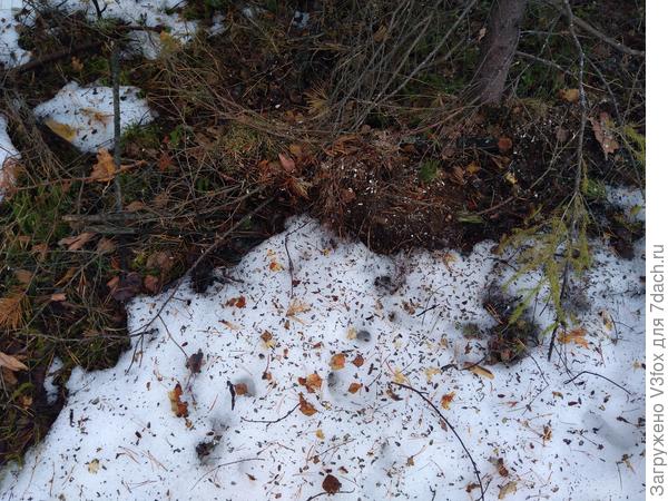 Другие в двух метрах от кормушки. )))