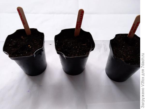 И под лампу...