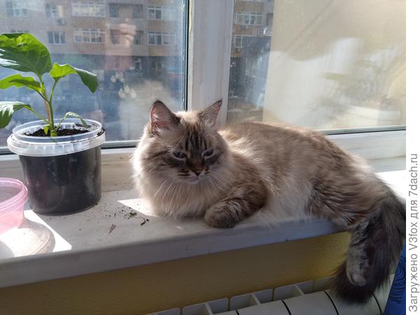 Что месту пропадать