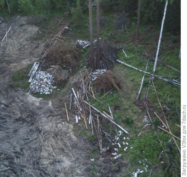 Возмем августовское фото. Эти кучки сняты сверху, и хорошо видны. :)