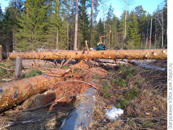 Моя верная аккумуляторная подружка)(