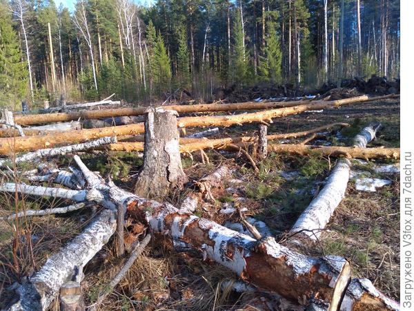 Спец зафоткала сегодня