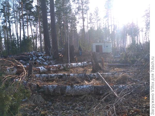 Фото из процесса уборки кучи