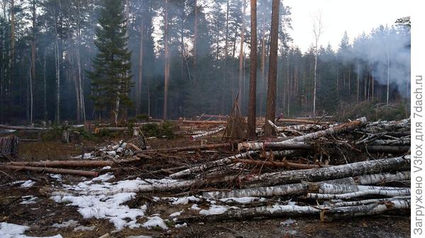 Фото из процесса.