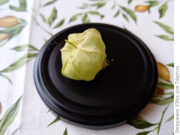 Дачный букет.