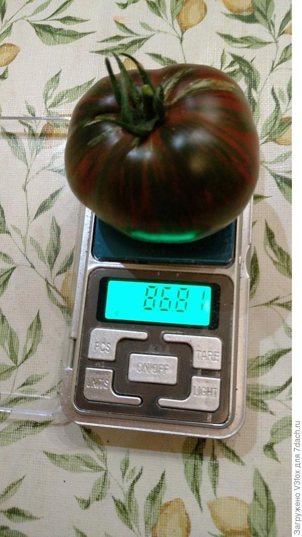 Почему бы не взвесить. На вкус сладкие. Определено посажу в след сезон.