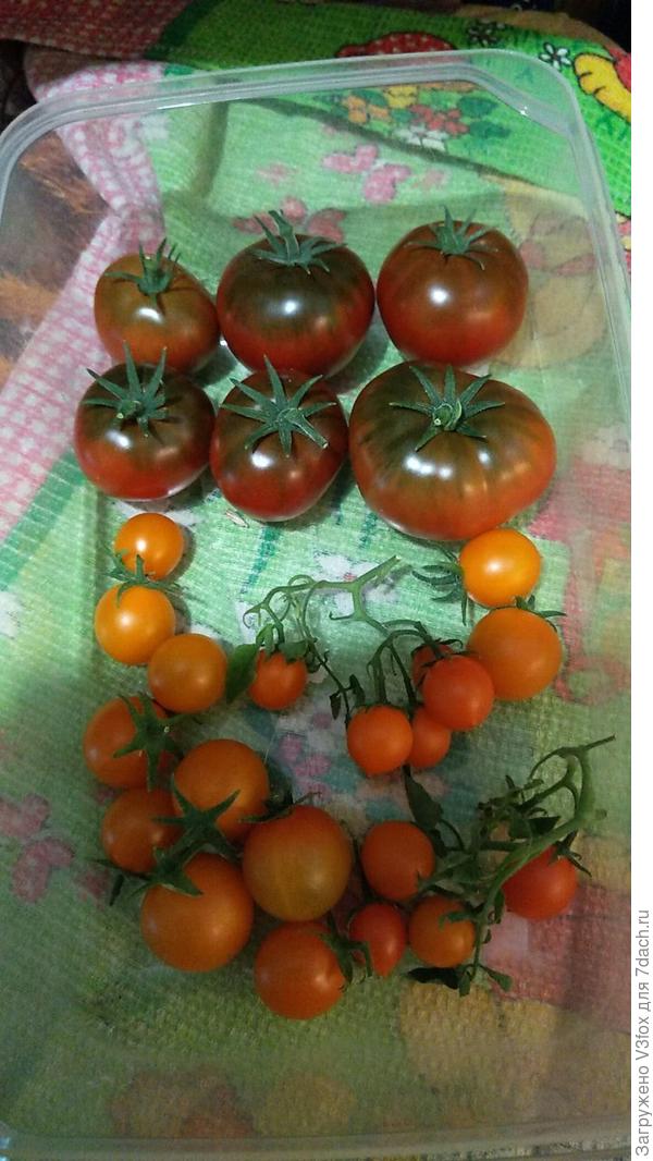 Верхние 2 ряда Смех Кукабары. Остальное не из этой &amp;quot;оперы&amp;quot;.