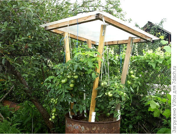 навес над бочки