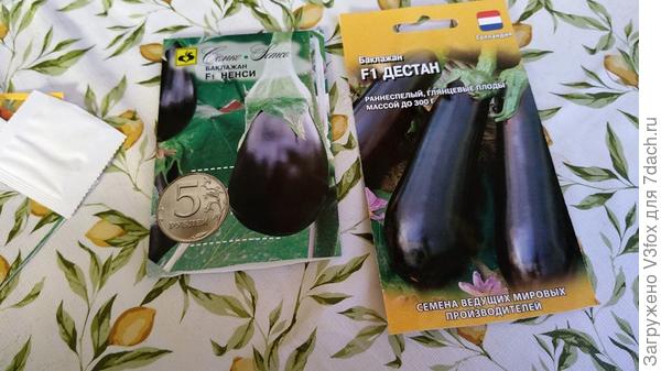 Баклажаны: Дестан 5 шт из пакетика. Ненси 4 шт.