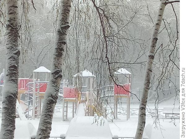 Жби в снегу.