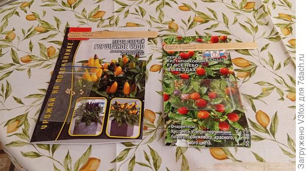 на этапе подготовки.