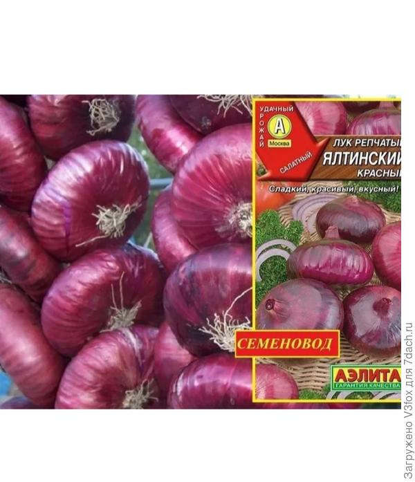 Только его, блин, нет в ближайшем офлайн магазине, только на маркет плейсе с ценой 110+руб