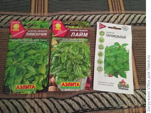 Такую троицу