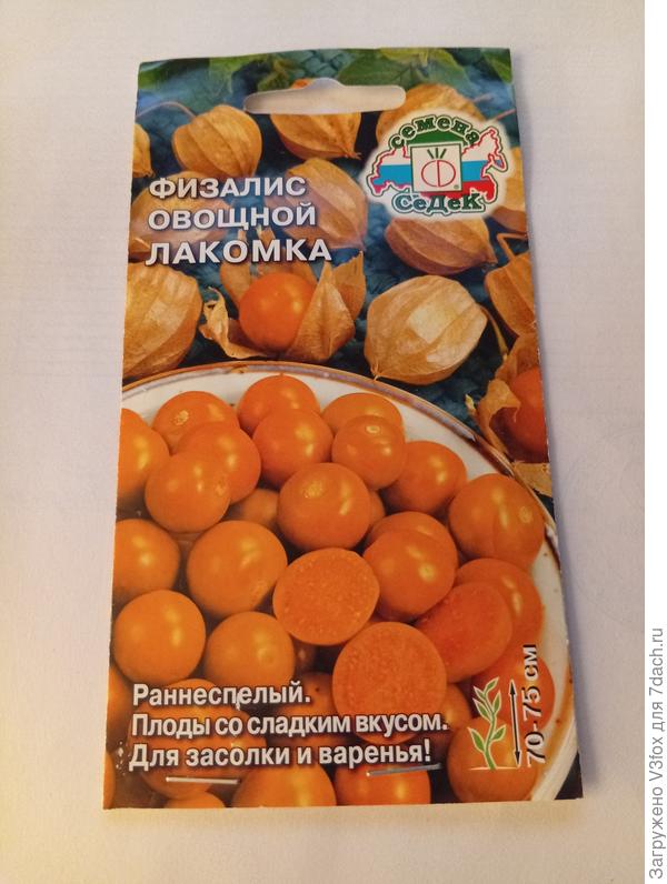 Посадка 31.03.25