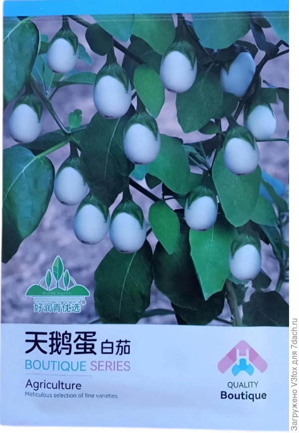 Белок лебединного яйца))