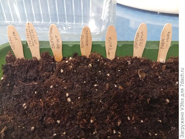 Первая часть из 12-цати