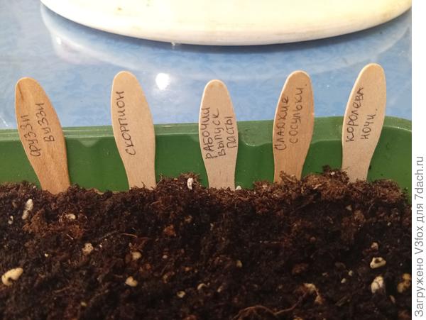 Вторая часть из 12-цати.