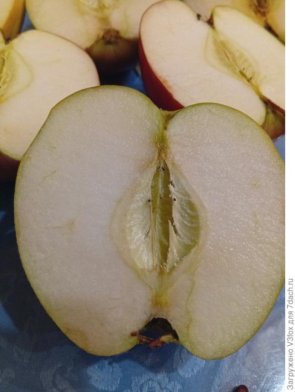 .... И где порция цианида???