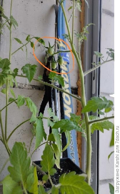 все - индеты