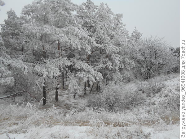 Ростовская область, Усть-Донецкий р-н.. х. Крымский
