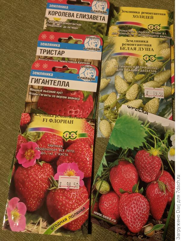 Участники эксперимента. Тристар не взошёл.