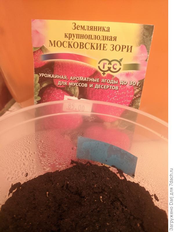 Московские зори из 5-ти два, но что-то им не очень.