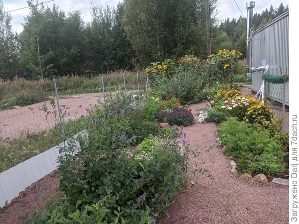 Ближний план, слева попытка соорудить пряную грядку
