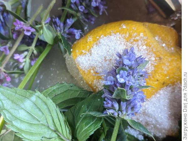 Летний напиток из лофанта с лимоном