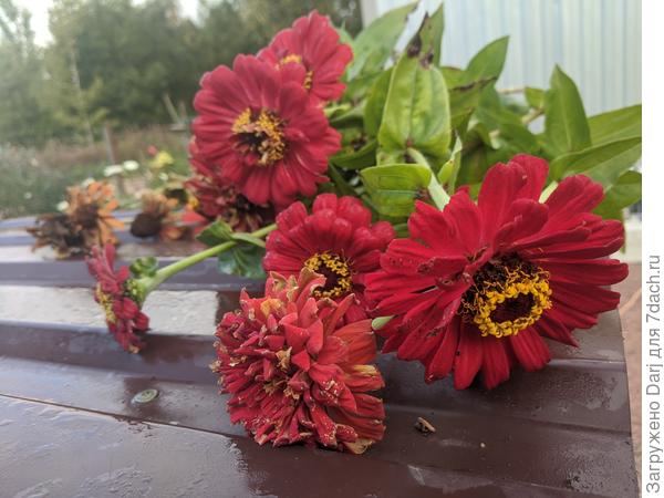 К сожалению, не стоят в срезке...