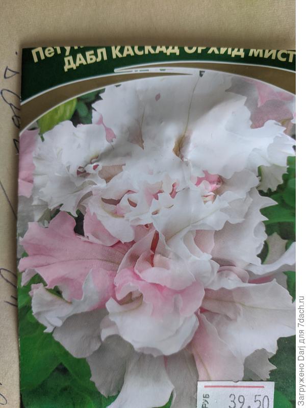 Взошло 10 из 10