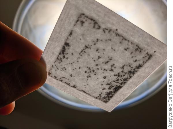 Вскрыла посмотреть на что это похоже... Да, без снега не обойтись.