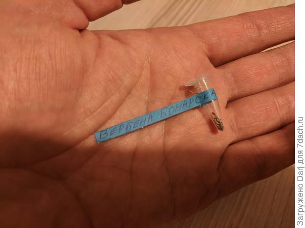 Наковыряла около 30 штук.