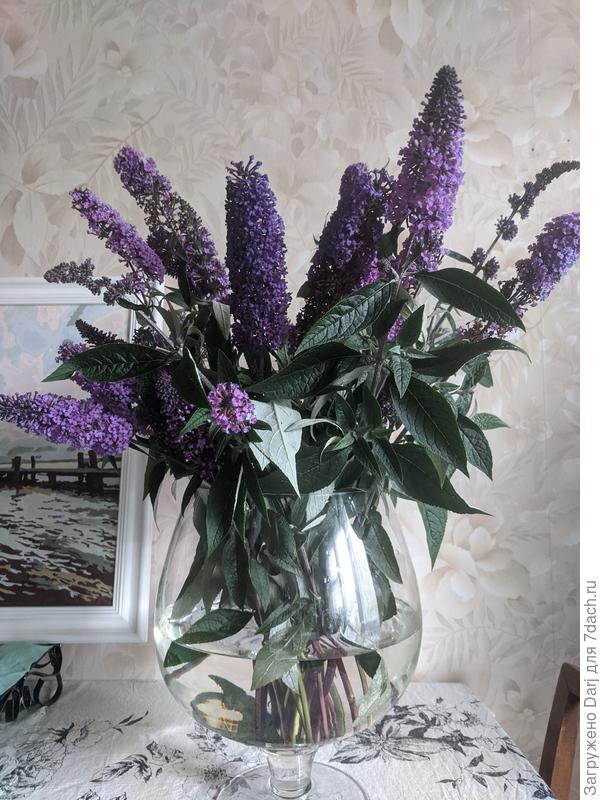 Букет из буддлеи Давида