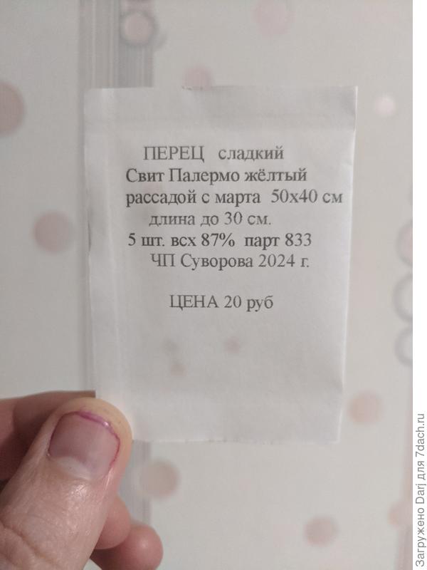 Вот он, заветный пакетик...