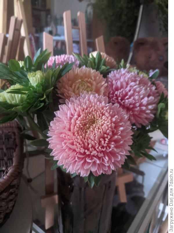 Фламинго на закате