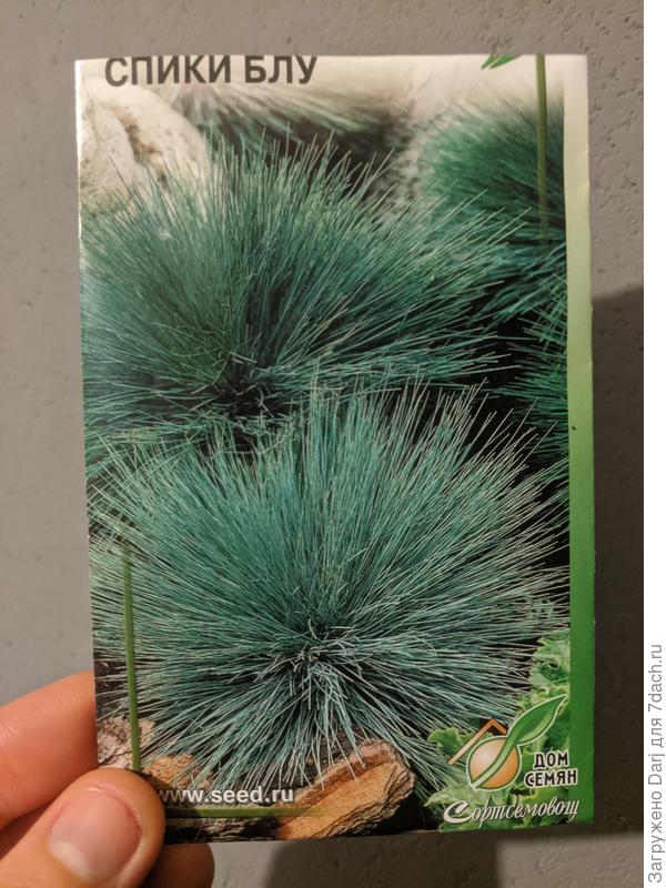 Вот такой злак.