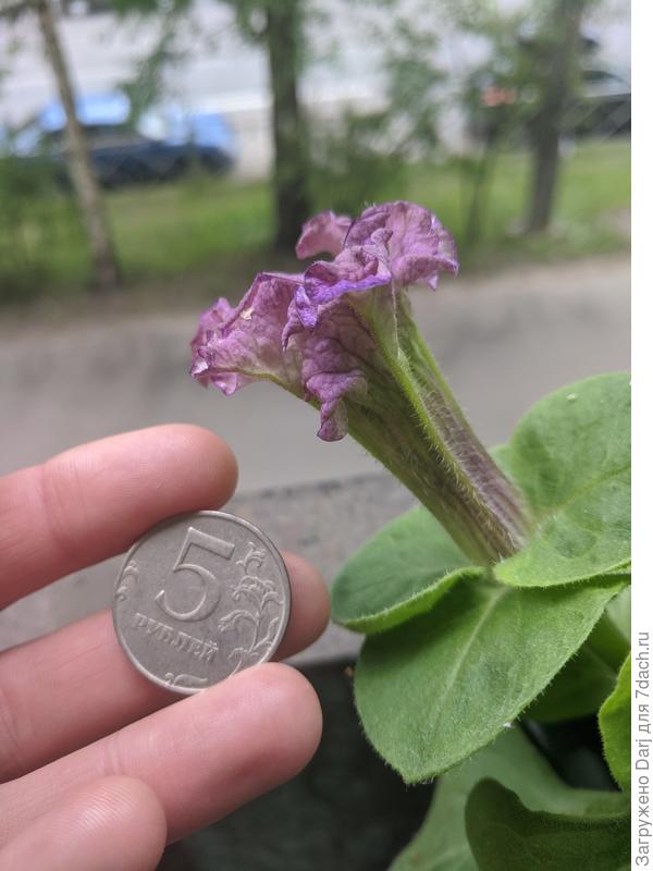 Очень долго стояла так