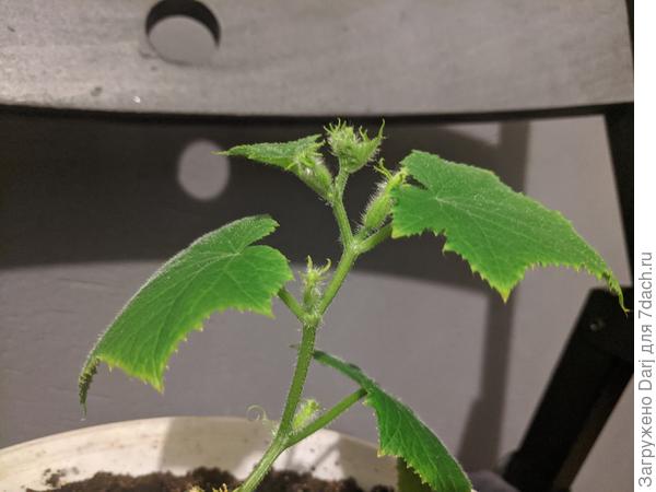 Вот так сейчас выглядит